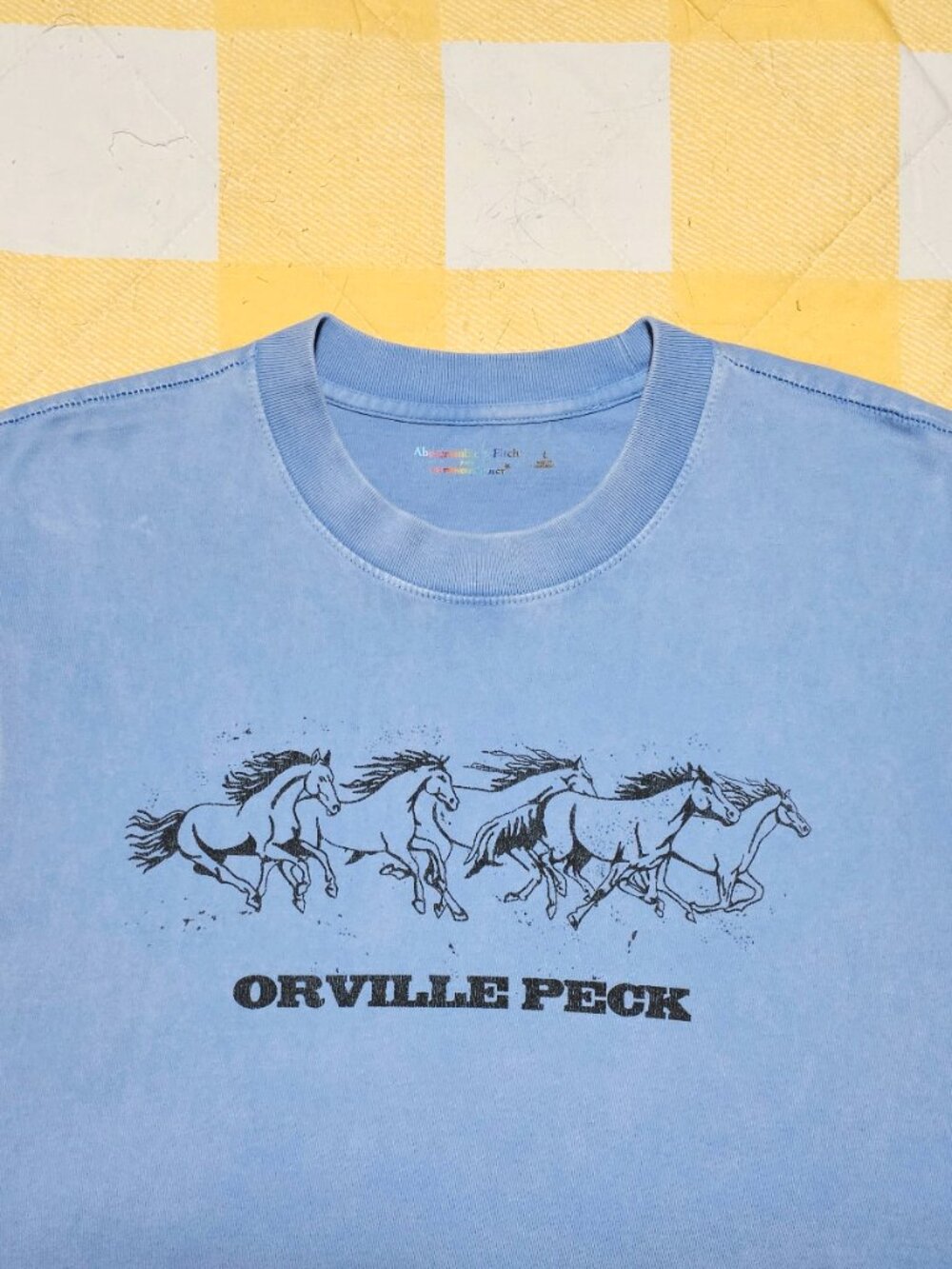 NEW Abercrombie A&F Orville Peck 2024 Tour Stampede Tank Top Size Large - Picture 3 of 3